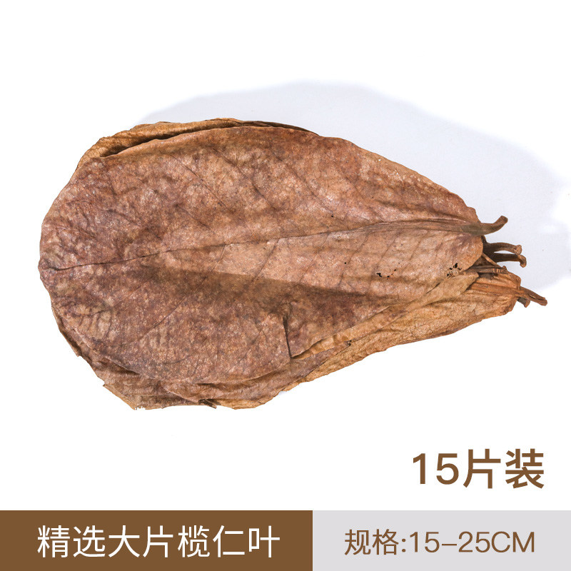 斗鱼榄仁叶懒人叶热带鱼鱼缸ph调节剂降低ph值橄榄叶改善水质降酸