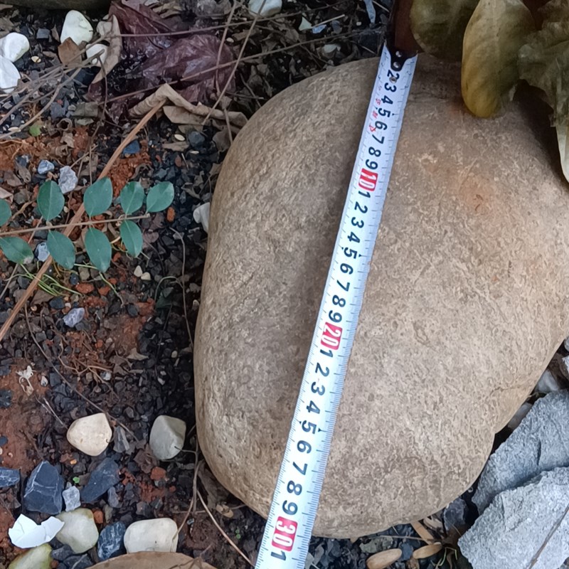 鹅卵石雨花石河卵石变压器5-8公分 鹅卵石河滩铺路造景鹅卵石