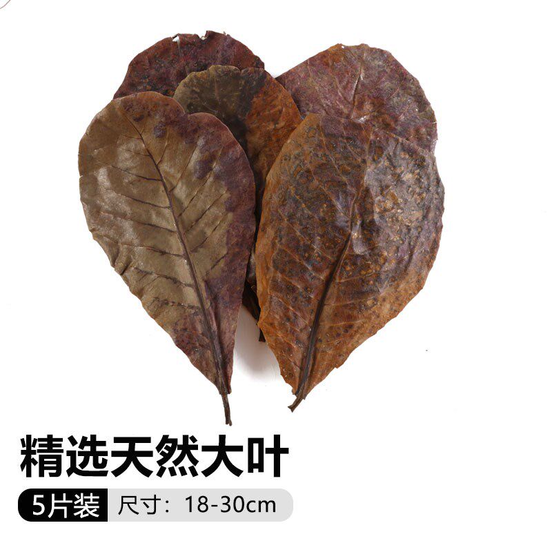 免煮榄仁叶斗鱼懒人叶鱼缸降酸PH值调节剂水族液态乌龟橄榄叶包