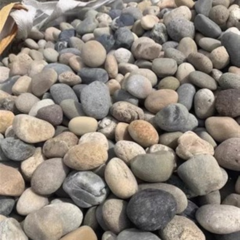 吉林工程鹅卵石天然原石花园变压器铺路铺地造景大号河卵石滤料石