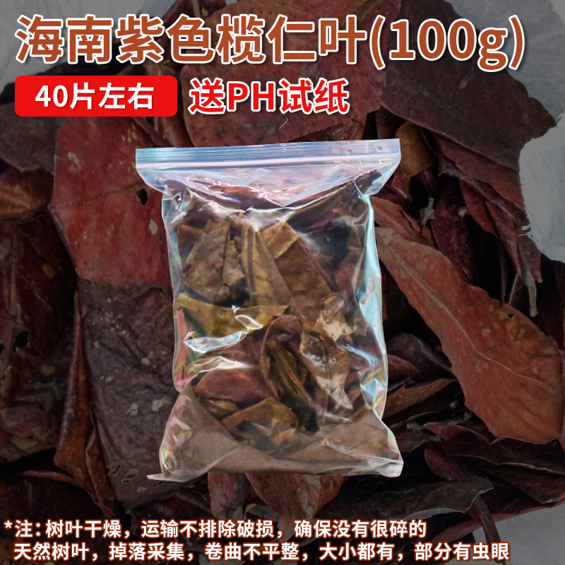 榄仁叶斗鱼懒人叶鱼缸降酸PH值调节剂水族液态乌龟橄榄龙眼叶子