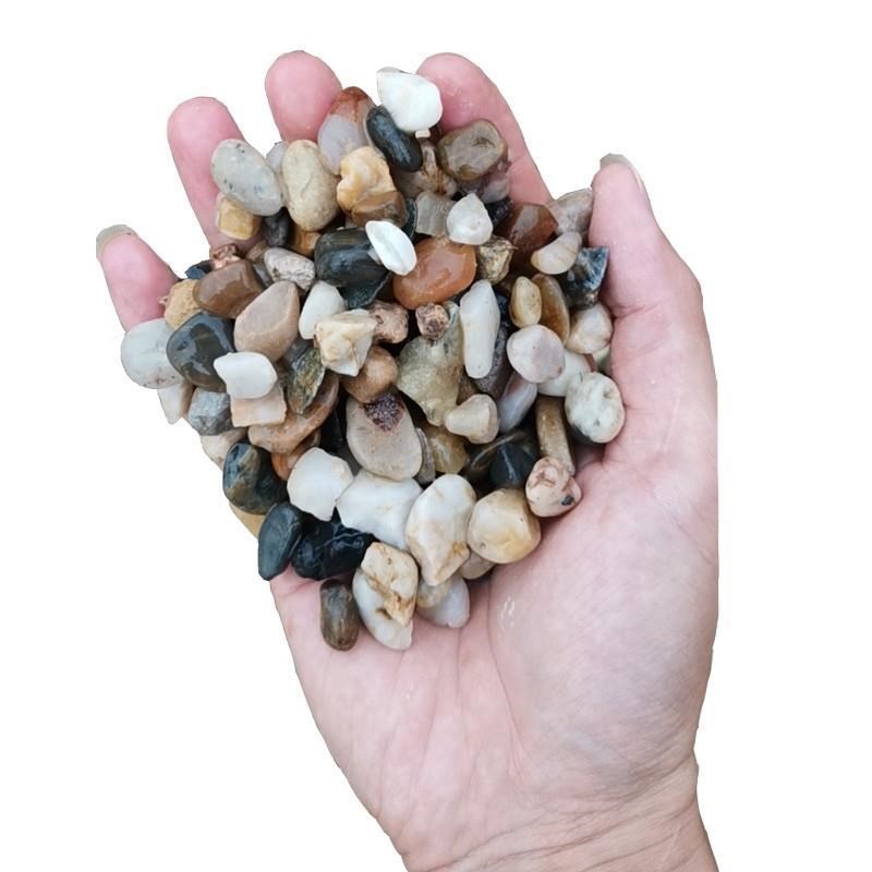 豆石鹅卵石回填地暖豆石找平回填专用小石子造景铺路水洗过滤