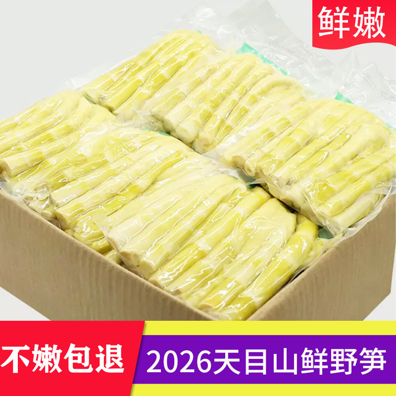 安吉竹笋天目山小野笋真空特产级新货笋商用水竹笋新鲜嫩笋尖