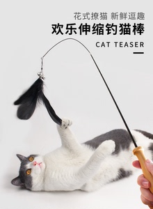 猫咪宠物用品玩具逗猫棒长杆羽毛钢丝铃铛可替换头耐咬伸缩钓鱼竿