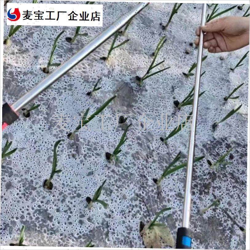 锈钢地膜伸缩g钩破膜放风钩挑蒜神器钩蒜苗钩子钩地膜出苗钩农具\,农机/农具/农膜,播种栽苗器/地膜机,淘宝优惠券,粉丝福利购,淘宝优惠卷