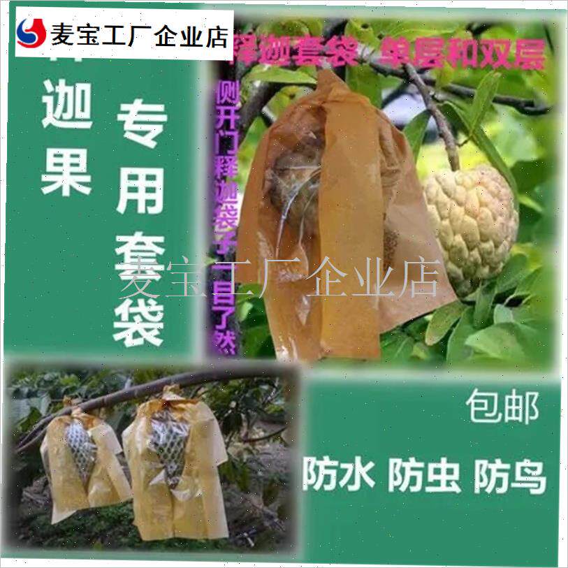 果套袋b凤梨菠萝侧m开赖球果佛头果袋番荔枝柑橘橙子水果袋纸袋\