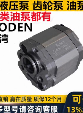 BODEN齿轮泵BKP1Q0S0.8/1.1/1.6/1.8/2.1/2.7/3.2/3.7/4.2T0F0-D