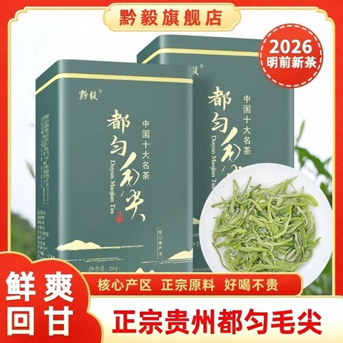 2026新茶明前特级都匀毛尖茶