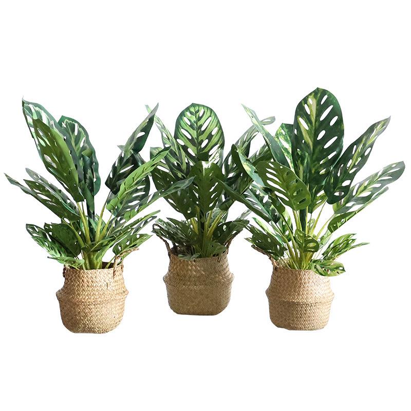 仿真绿植雀木小盆摆件客厅室内装饰北FPS孔栽假植物欧仿生龟背叶