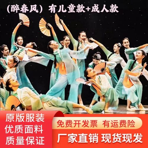 醉春风舞蹈服儿童演出服女童古典舞表演飘逸中国风女扇子广场舞服