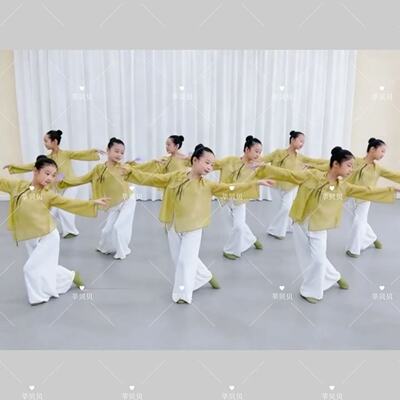 儿童新款演出服立春舞蹈服女童古典舞中国舞练功服飘逸纱衣表演服