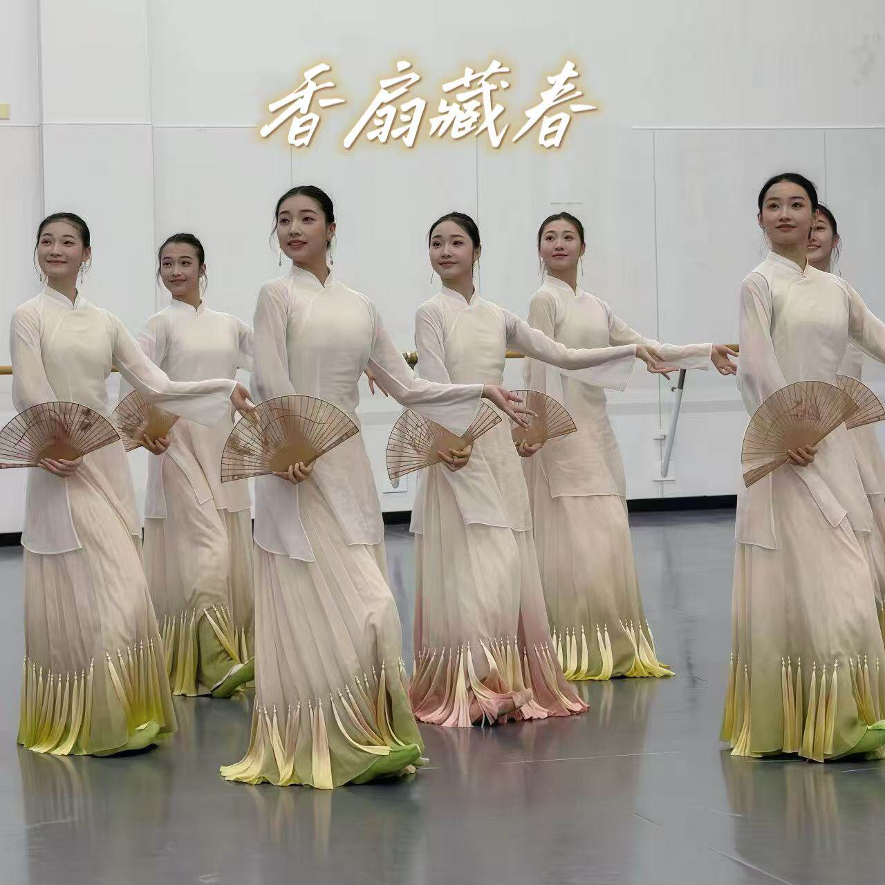 香扇藏春舞蹈服一扇百年儿童古典舞演出服装女中国风艺考飘逸纱衣图片