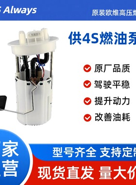 适用奇瑞旗云 旗云2 风云燃油泵总成A11-1106610DA A15-1106610