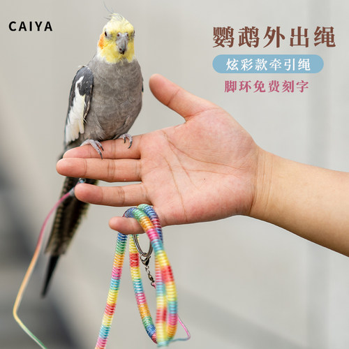 鹦鹉牵引绳遛鸟外出神器免费刻字