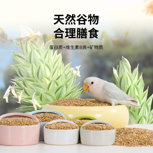 CAIYA鹦鹉鸟粮加纳利子天然营养