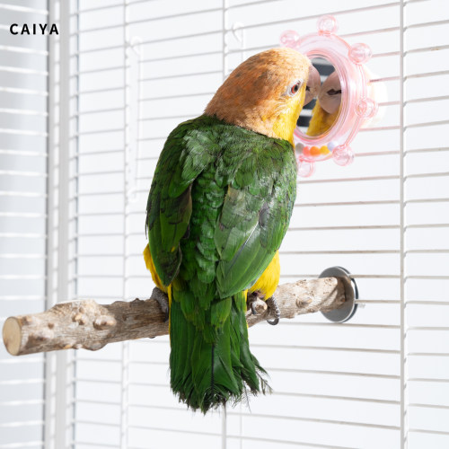 caiya鹦鹉镜子旋转风车磨牙玩具