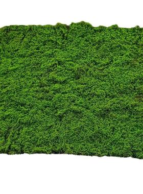 仿真苔藓假青苔背景植物墙装饰绿植微景观植绒草皮绿色仿真青苔