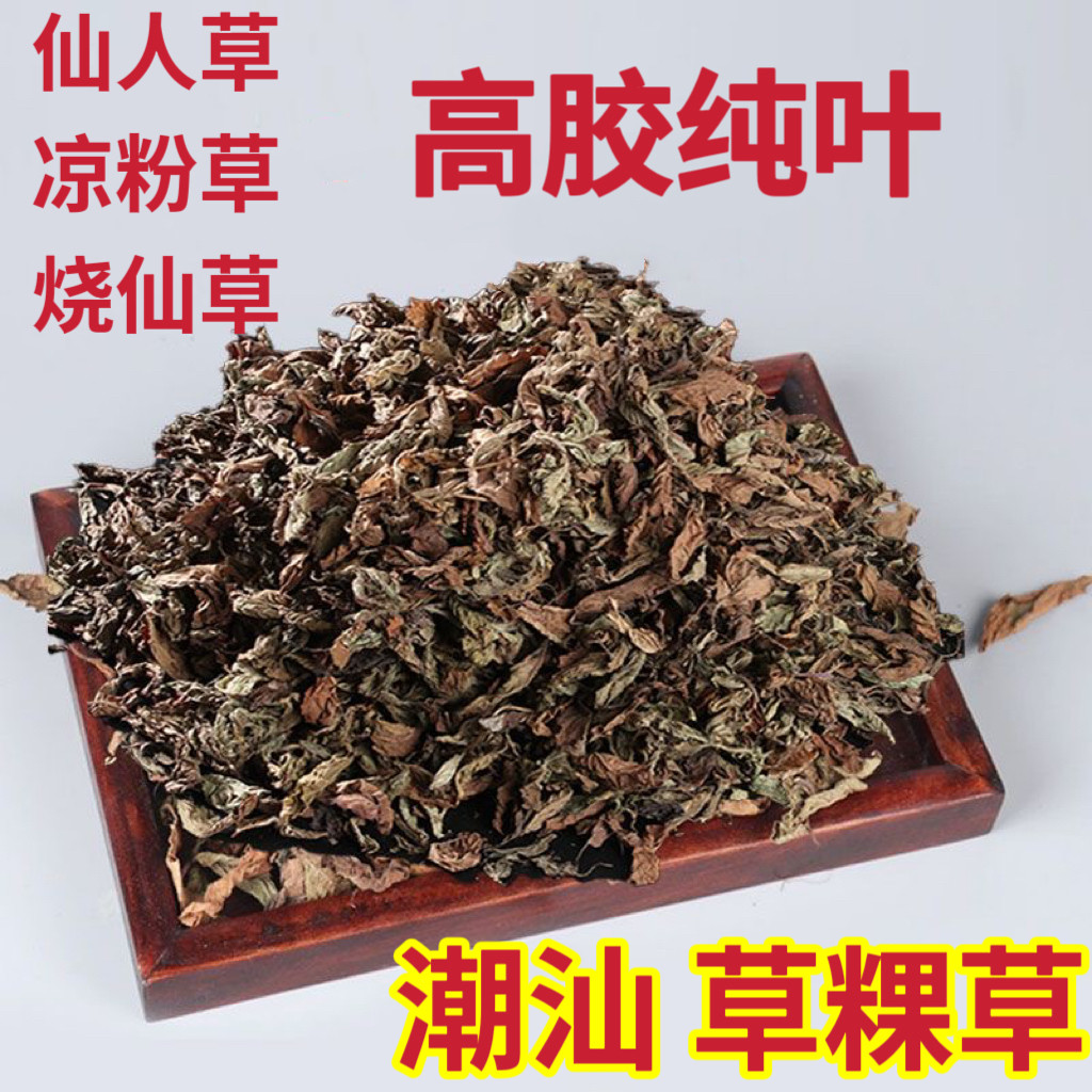 潮汕草粿草台湾烧仙草配料黑凉粉龟苓膏客家仙人草仙草叶新鲜草干