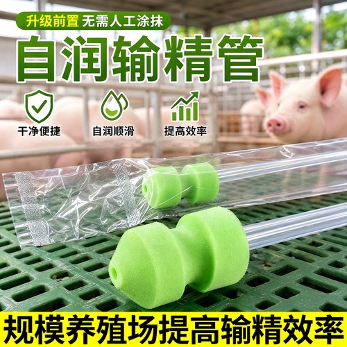 升级前置自润滑一次性猪用输精管