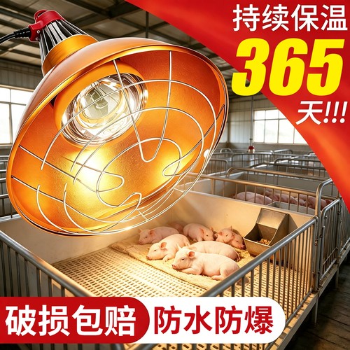 猪用养殖保温灯罩养殖场专用取暖灯小鸡育雏加热灯泡防水控温灯罩