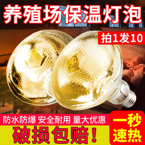 保温灯养殖场专用防水防爆10个