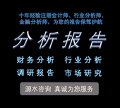 财务分析报告财务数据分析财务报表分析行业财务上市公司审计会计