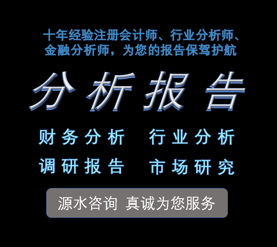 财务分析报告财务数据分析代写报表分析行业代做上市公司审计会计