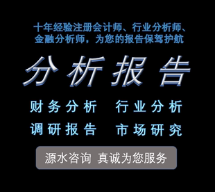 财务分析报告财务数据分析代写报表分析行业代做上市公司审计会计