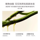 双萃精华油30ml AM馥郁满铺精华油 李佳琦超级年货尾款 日