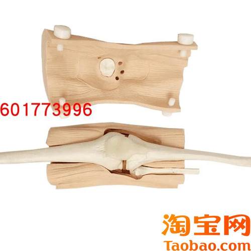 膝关节镜检查模型膝关节镜手术检.查练习模型