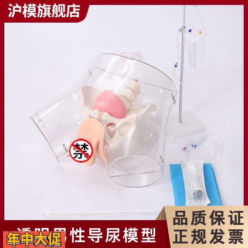 沪模HM/HD5/HD6透明导尿模型导尿操作演示训练模型男性女性导尿示