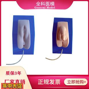 式 着装 男女性导尿模型男女内外生殖器导尿医学教学训练模具