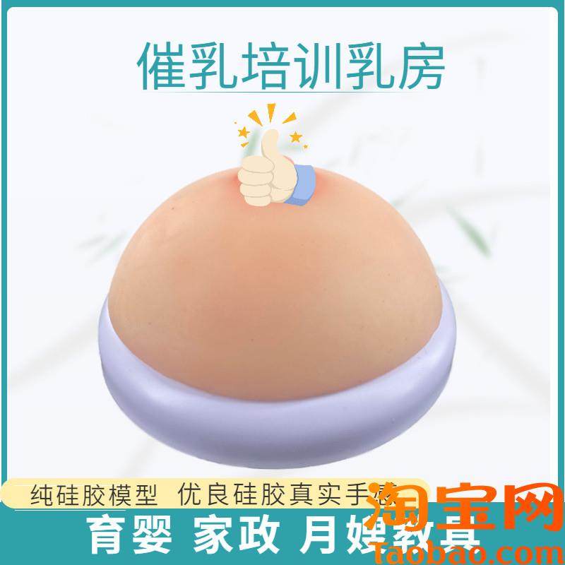 医院母乳喂养指导教具娃娃模型假胸假乳房模型Q准妈妈产前练习宣
