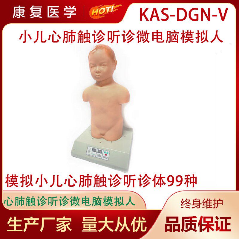 小儿心肺触诊听诊微电脑模拟人婴儿心肺Y听诊模拟人