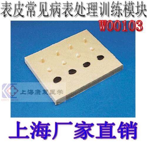 医用模具 表皮训练 表皮常见N病表处理训练模块