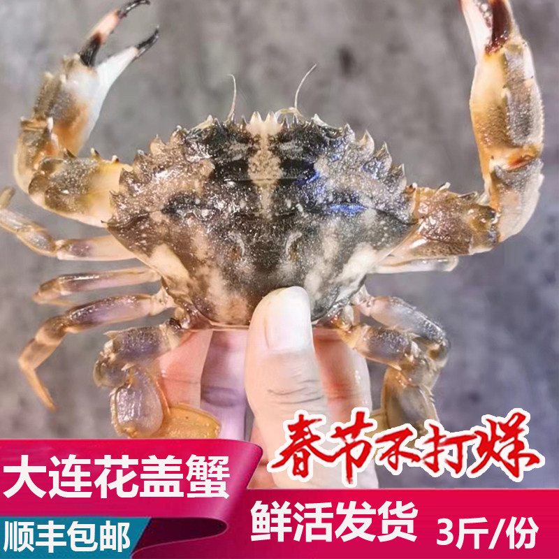 大连海鲜海货特产新鲜鲜活花盖蟹滑盖蟹花蟹石蟹青蟹螃蟹3斤装