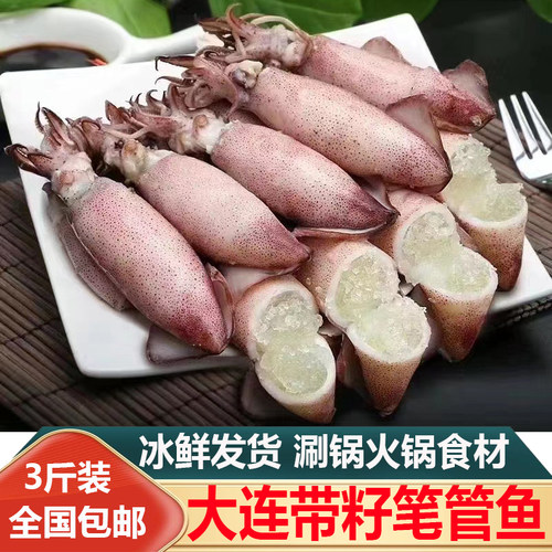 大连新鲜带籽笔管鱼3斤顺丰包邮