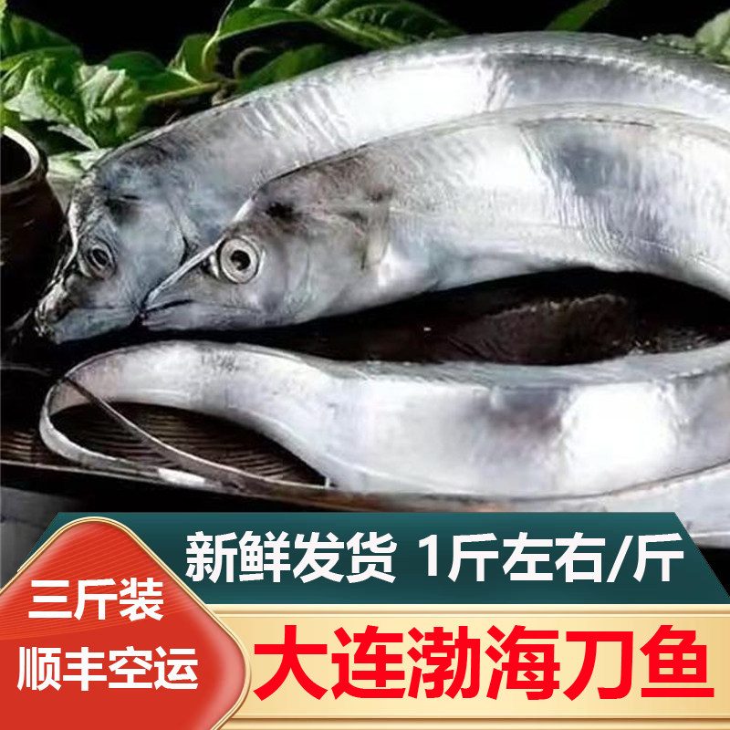 大连海货新鲜渤海刀鱼野生带鱼过年春节年货送礼礼物海鲜礼品礼包
