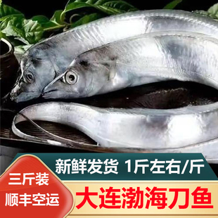 大连海货新鲜渤海刀鱼野生带鱼过年春节年货送礼礼物海鲜礼品礼包