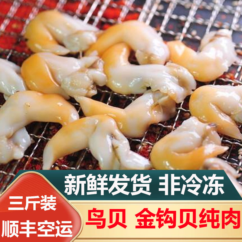 大连海鲜海货新鲜现括鸟贝肉金钩贝肉日料刺身海鲜食材3斤装