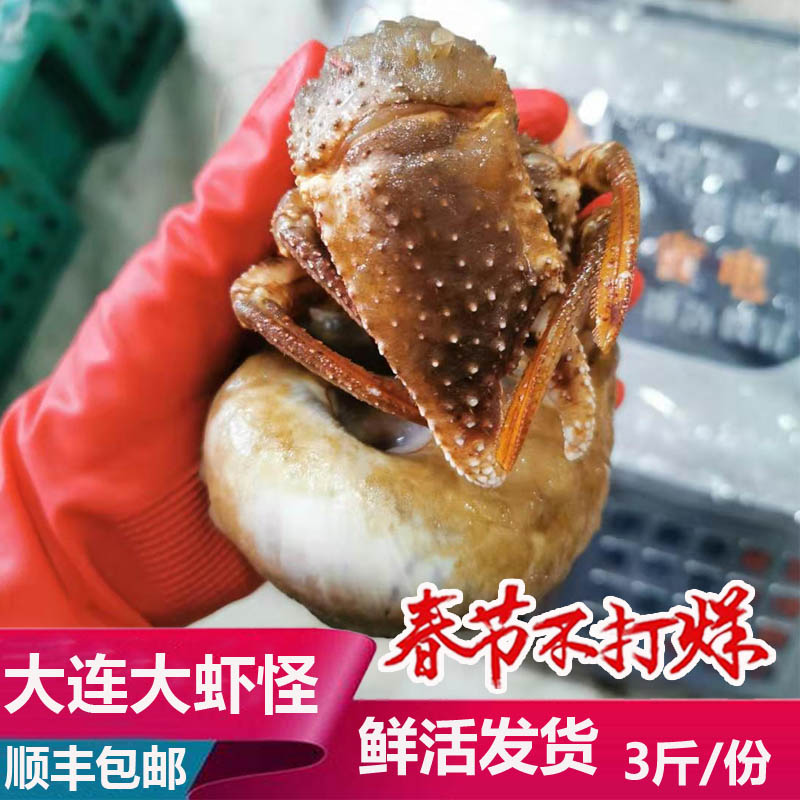大连海鲜大个寄居蟹虾怪顺丰包邮