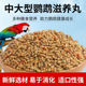 鹦鹉滋养丸鸟粮中大型金刚葵花和尚灰机金太阳折中鸟食专用饲料