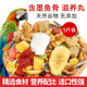 大型鹦鹉鸟粮混合饲料金刚葵花黄帽灰机折衷鹦鹉鸟食5斤滋养丸