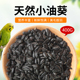 鹦鹉瓜子饲料鸟食油葵小瓜子珍珠粮食牡丹玄风鸟粮黑珍珠仓鼠零食