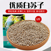 苏子鸟食新白苏子鸟粮鹦鹉玉鸟芙蓉鸟金丝雀黄雀薄皮软苏子500克