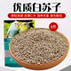 苏子鸟食新白苏子鸟粮鹦鹉玉鸟芙蓉鸟金丝雀黄雀薄皮软苏子500克