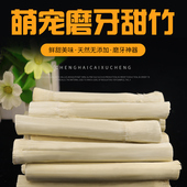 仓鼠兔子磨牙棒零食甜竹苹果树枝兔兔龙猫荷兰猪豚鼠松鼠磨牙石