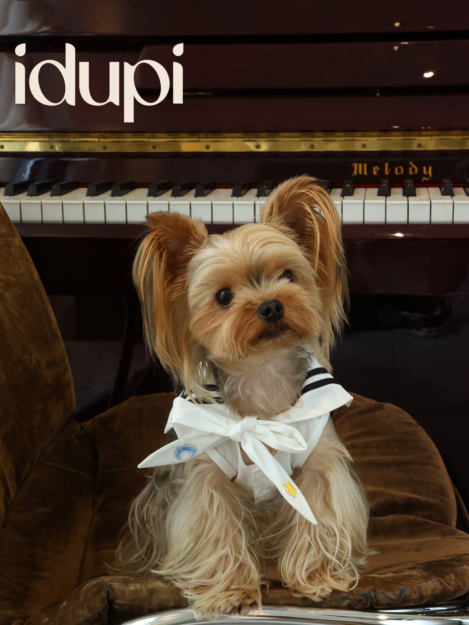 idupi猫狗纯棉轻薄宠物衣服