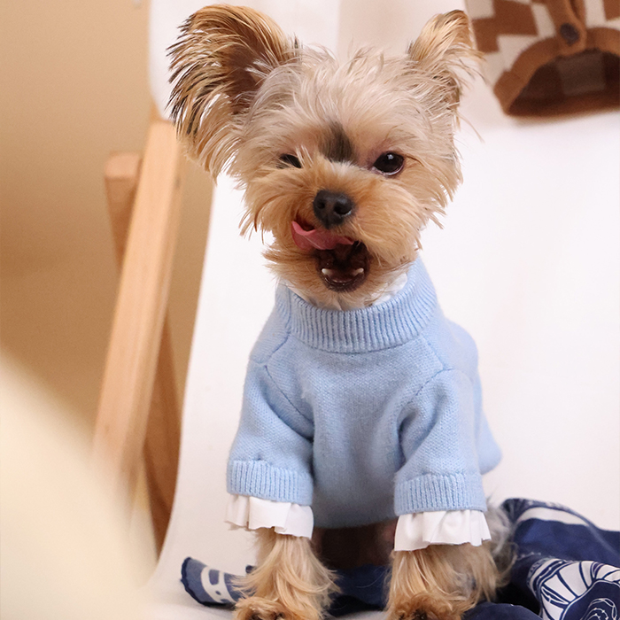 idupi原创秋冬马尔济斯约克夏雪纳瑞ins纯色针织保暖可爱毛衣