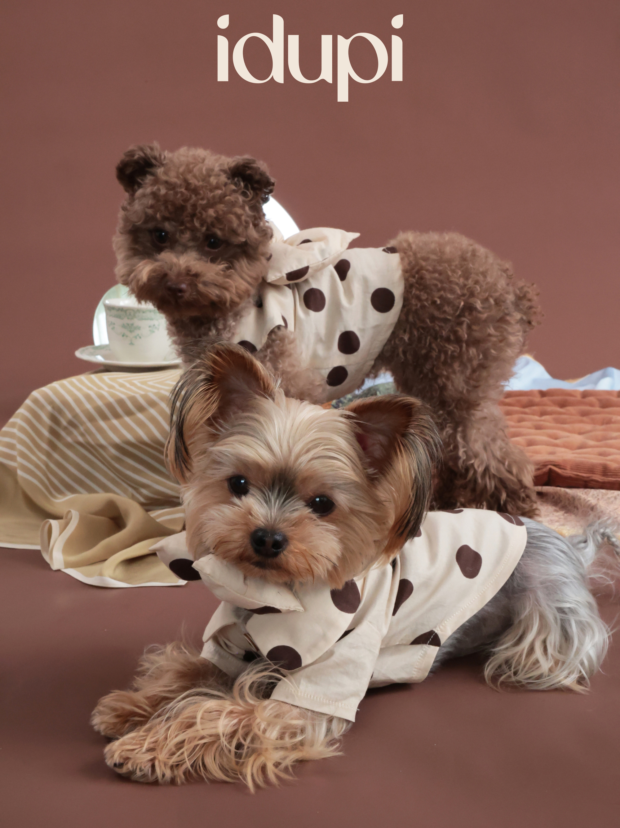 春夏波点宠物衣服轻薄透气